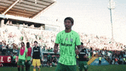 Football Soccer GIF by Sporting CP