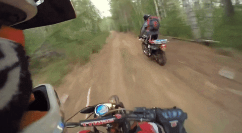GIF by Mashable