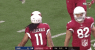 2018 Nfl Football GIF by NFL