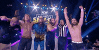 The Elite Wrestling GIF by AEWonTV