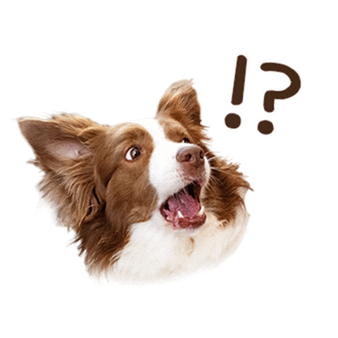 犬 Sticker