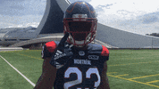 One Two Three Football GIF by Alouettes de Montréal