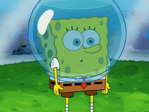 season 5 episode 10 GIF by SpongeBob SquarePants