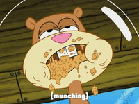 season 7 episode 3 GIF by SpongeBob SquarePants