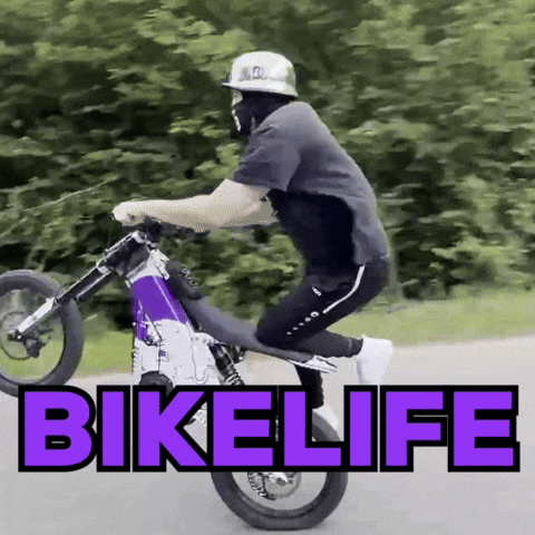 Bikelife-Saarland biker giphycreatortest wheelie bikelife GIF