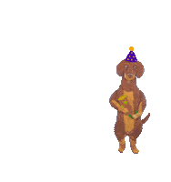 Dog Birthday Sticker by camphollow