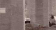 creep creeping GIF