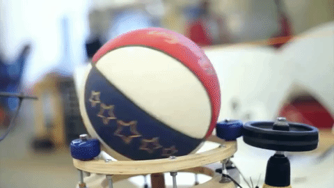 GIF by Harlem Globetrotters