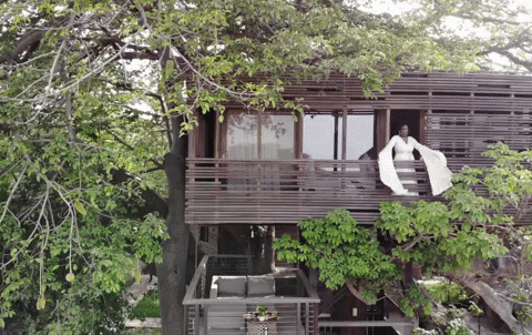 Diarrablu giphyupload GIF