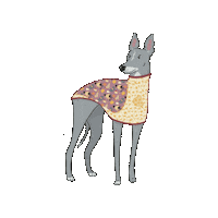 Mozzie Sticker by Blas & Co