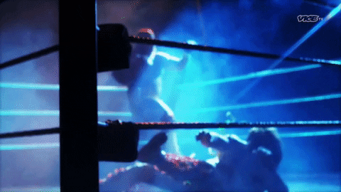 Hulk Hogan Wwe GIF by DARK SIDE OF THE RING