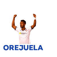Sticker by Avante Sports