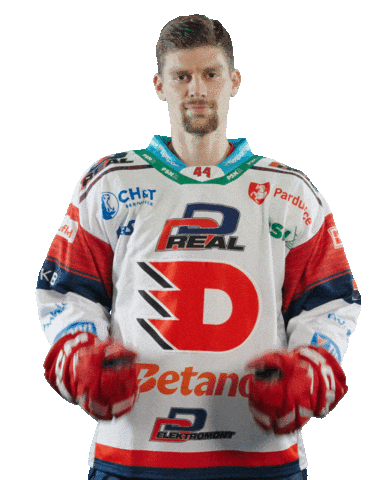 Hockey Czech Sticker by HC Dynamo Pardubice