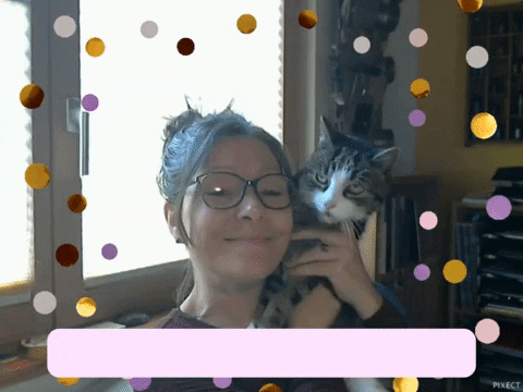 vonevli giphyupload evi vonev geburi GIF