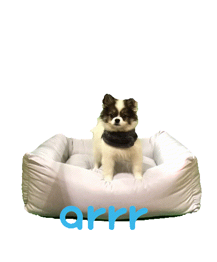 아르르 Sticker by arrr_official