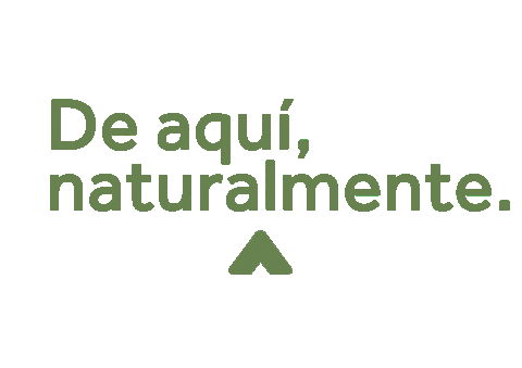 Shopping Market Sticker by Supermercados Altoaragón