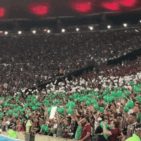 Sport Soccer GIF by Fluminense Football Club