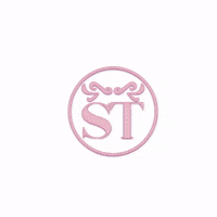 stefanytejada st stefanytejada teamst GIF
