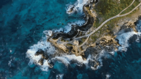 Isla Mujeres Travel GIF by Caribe Mexicano