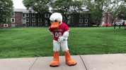 FollowStevens hello hey duck phone call GIF