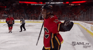 Happy Ice Hockey GIF by NHL