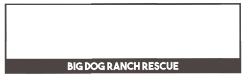 Tot Tongue Out Tuesday Sticker by Big Dog Ranch Rescue