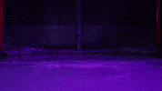 Goalie GIF by Tommie Athletics