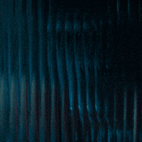 Monkey Chimp GIF by Primate Movie