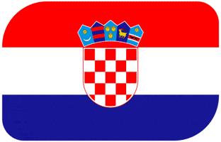 World Cup Football GIF