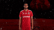 Fortune GIF by SO CHOLET
