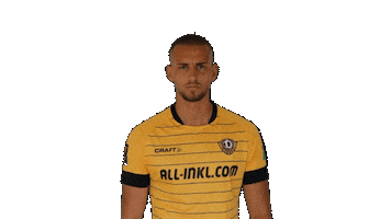 Swipe Celebrate Sticker by SG Dynamo Dresden
