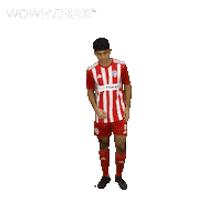 Football Soccer Sticker by Gulf United FC