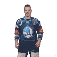 Heart Hockey Sticker by HC Škoda Plzeň