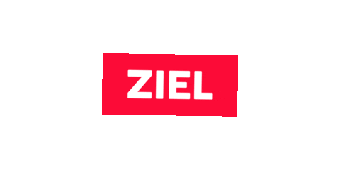 Sport Running Sticker by Linz News