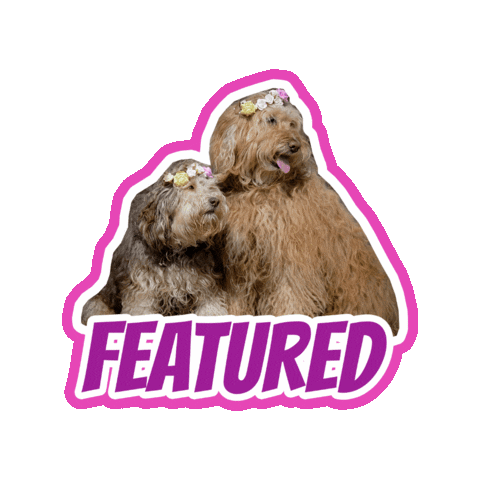 Doodle Easter Sticker by Milagency