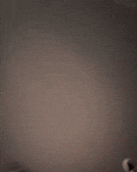 Iliya GIF