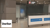 japan fly GIF