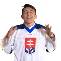 happy hockey Sticker by Pilsner Urquell