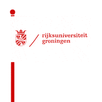 Rug Sticker by University of Groningen