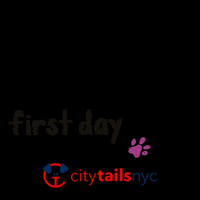 GIF by City Tails NYC