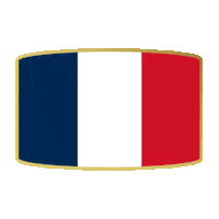 France Football Sticker