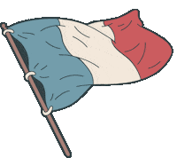 France Football Sticker by Homme Jaune