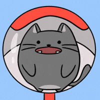 Gossiping Public Speaking GIF by MESA My Emotional Support Animal