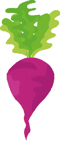 Vegetable Beet Sticker by Hobbykokken