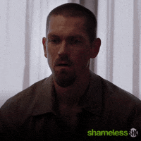 Season 10 Showtime GIF by Shameless