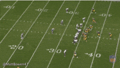 become martavis bryant GIF
