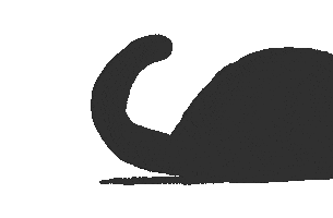 Cat Seek Sticker by gasta