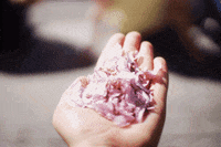spring april GIF