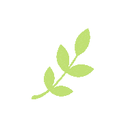 Plant Leaf Sticker by True Botanicals