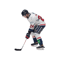 Hockey Player Sticker by WhiteHawks